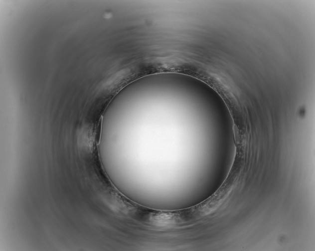 X0000099520129200805221451