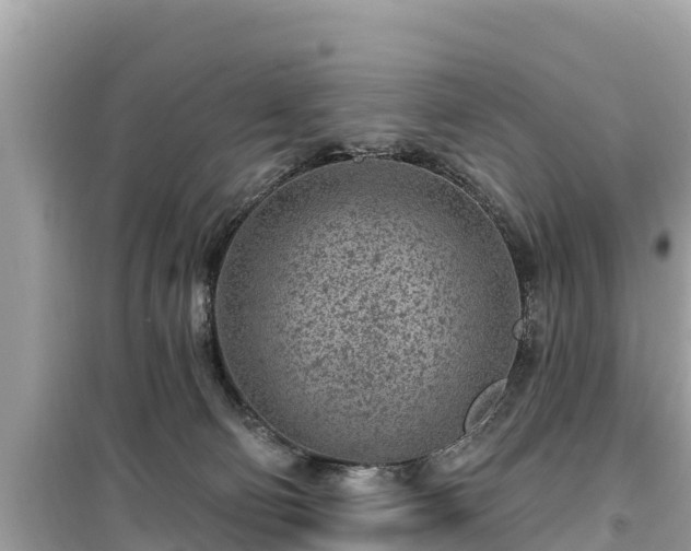 X0000099520130200805221451