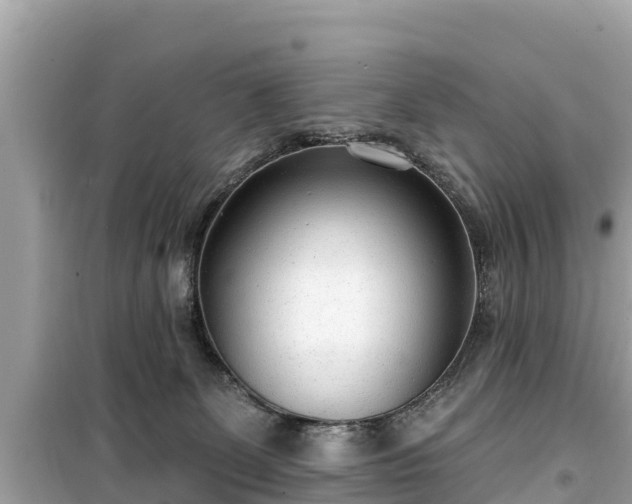X0000099520131200805221451