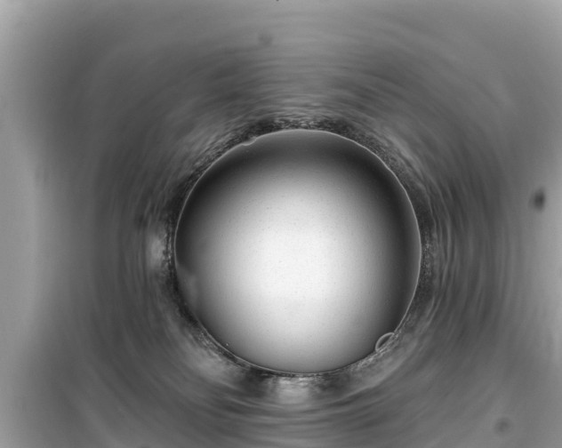 X0000099520134200805221451