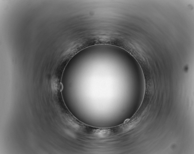 X0000099520135200805221451