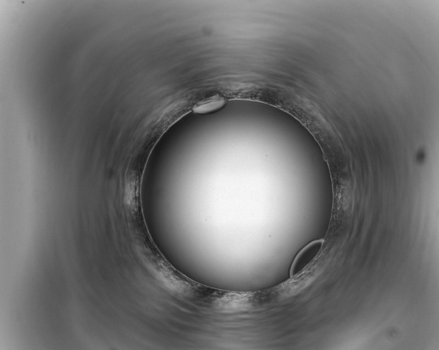 X0000099520138200805221451