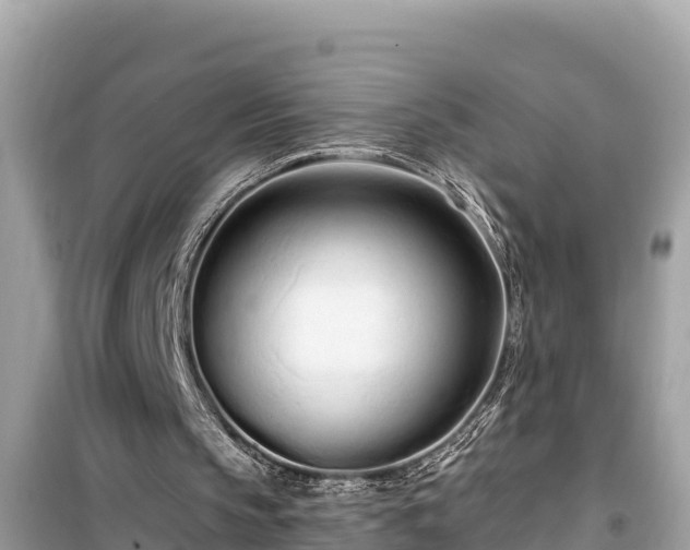 X0000099520145200805221450