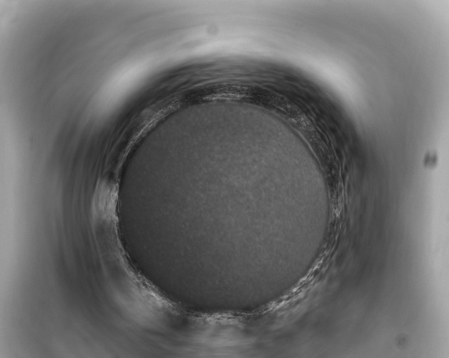 X0000099520146200805221450