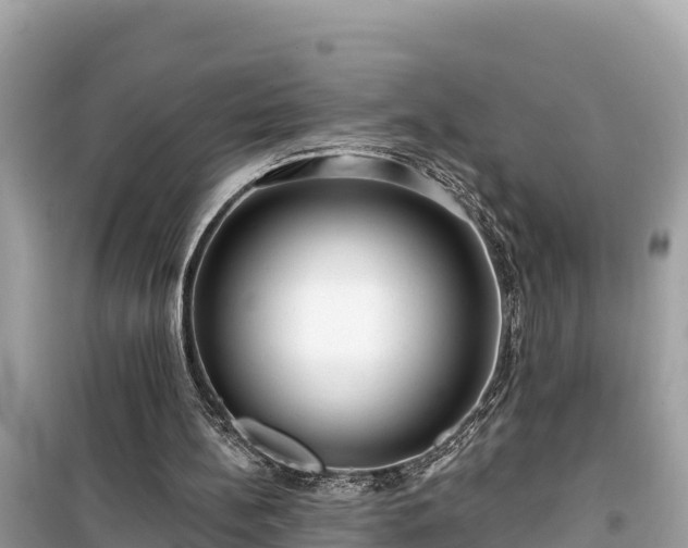 X0000099520148200805221450