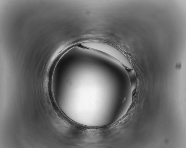 X0000099520150200805221451