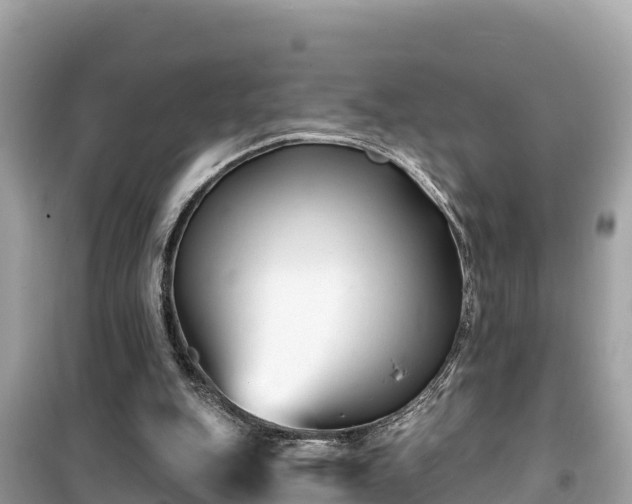 X0000099520151200805221451