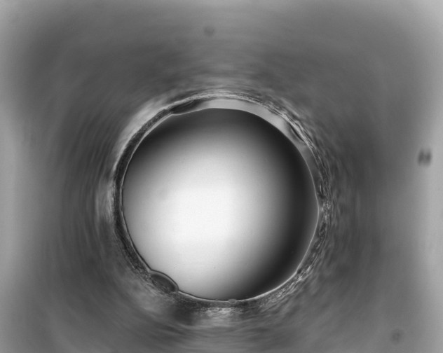 X0000099520152200805221451