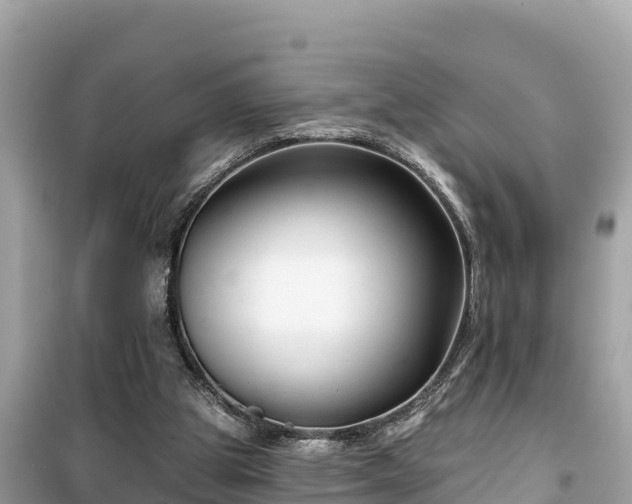 X0000099520153200805221451
