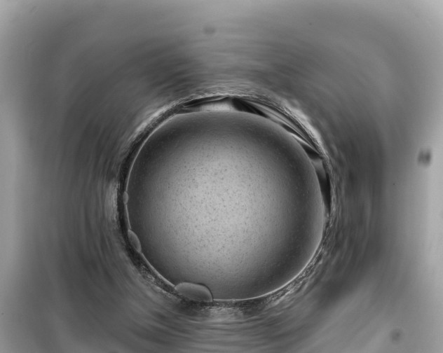 X0000099520154200805221451