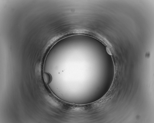 X0000099520155200805221451