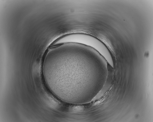 X0000099520156200805221451