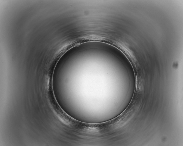 X0000099520157200805221451