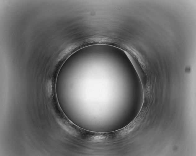 X0000099520158200805221451