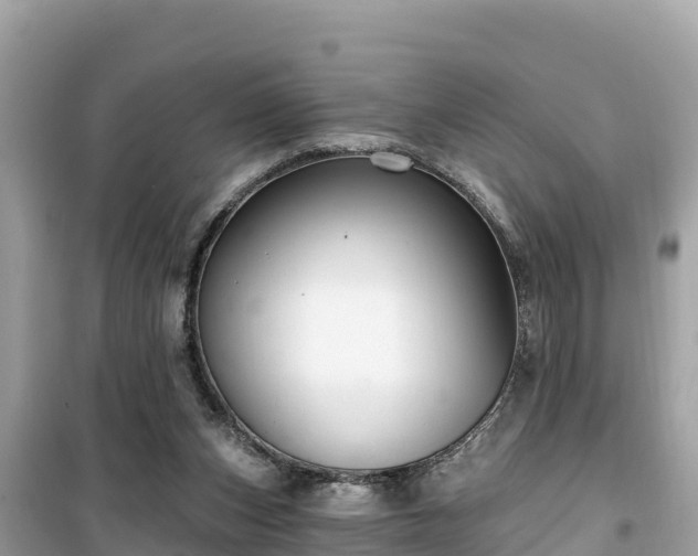X0000099520159200805221451