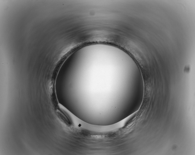 X0000099520160200805221451