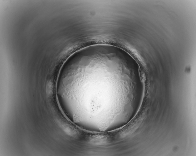 X0000099520161200805221451