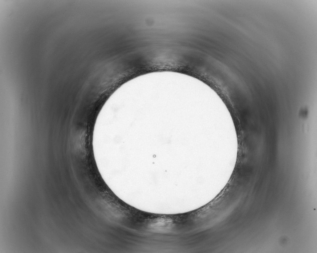 X0000099520162200805221451