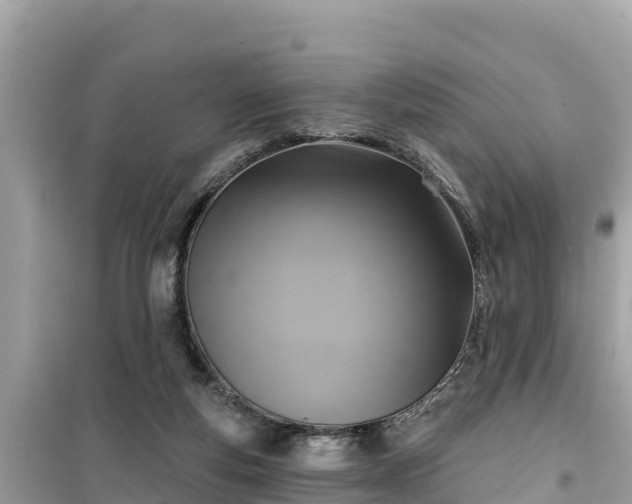 X0000099520163200805221451