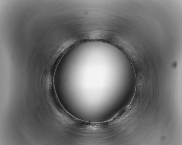 X0000099520164200805221451