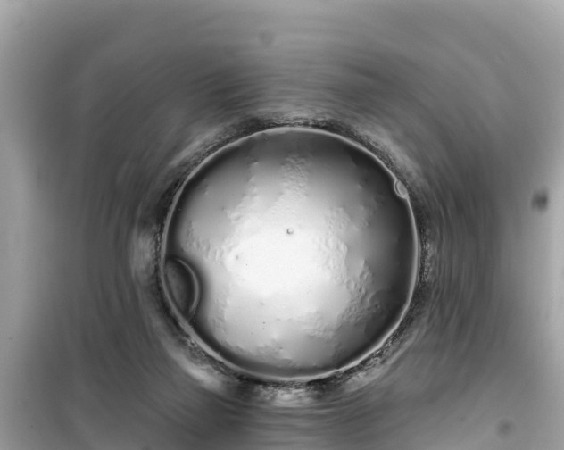 X0000099520165200805221451