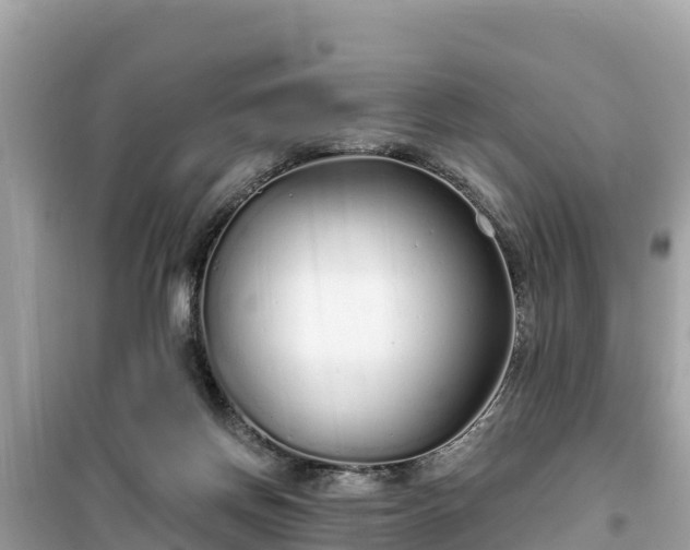 X0000099520166200805221451