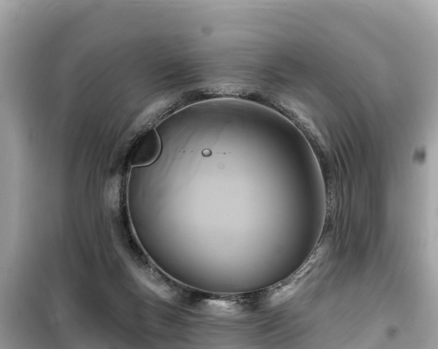 X0000099520167200805221451