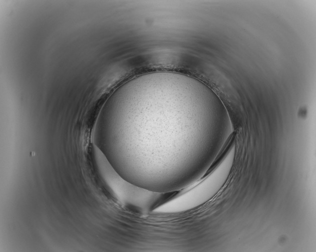 X0000099520168200805221451