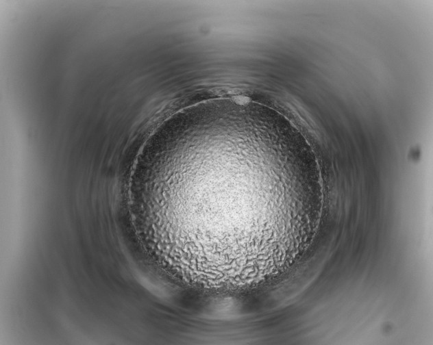 X0000099520169200805221451