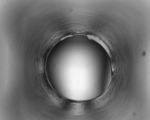 X0000099520170200805221451