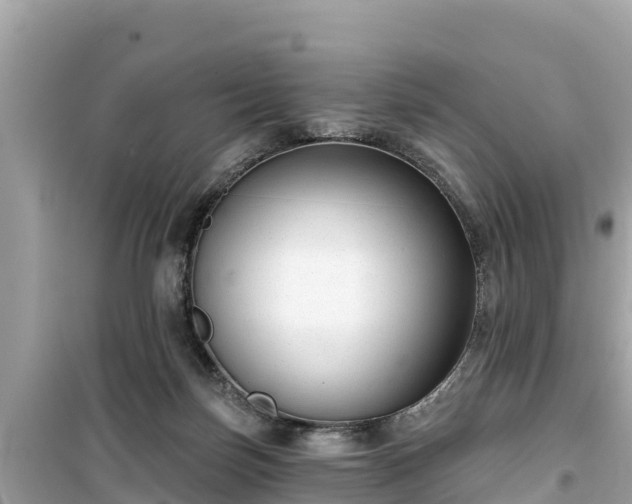 X0000099520171200805221451