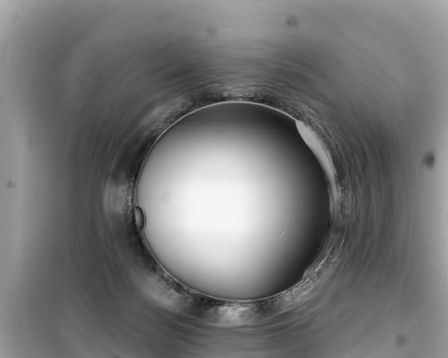X0000099520172200805221451