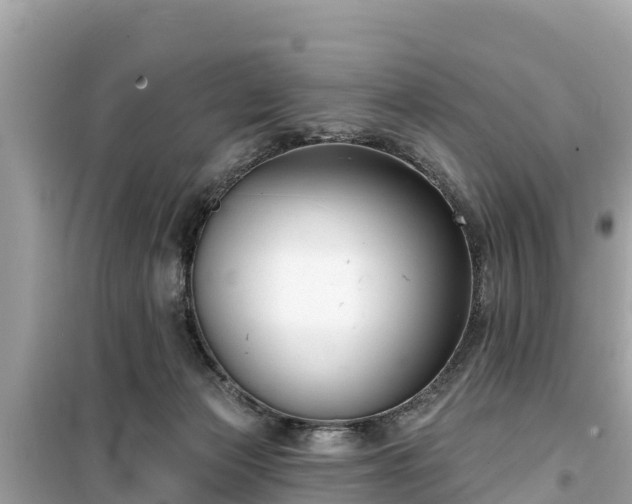 X0000099520173200805221451