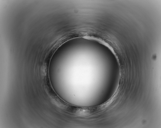 X0000099520174200805221451