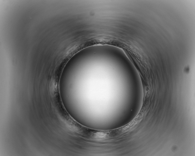 X0000099520176200805221451