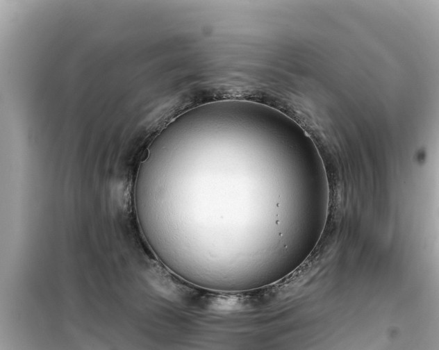 X0000099520177200805221451