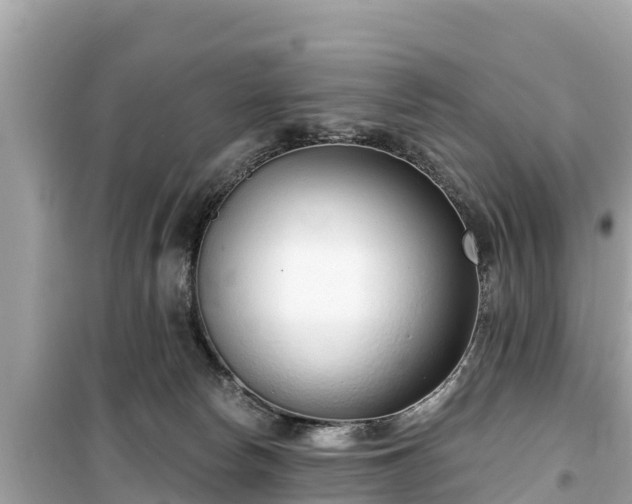 X0000099520178200805221451