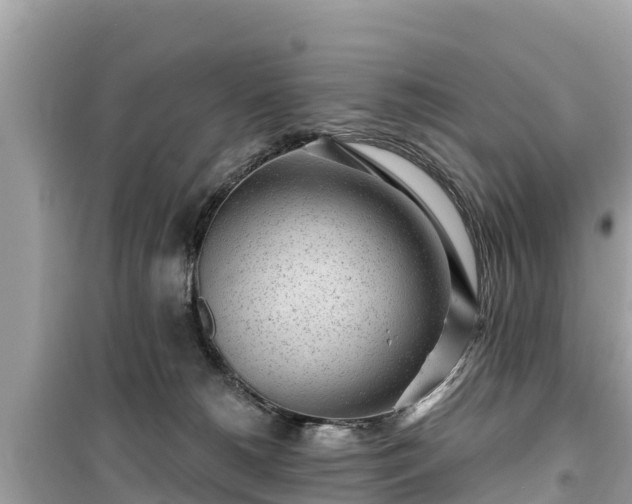 X0000099520180200805221451