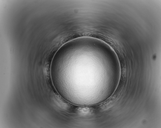 X0000099520181200805221451