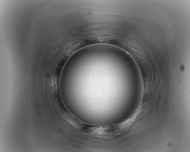 X0000099520182200805221451