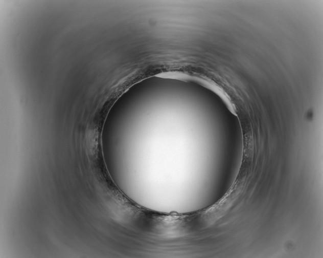 X0000099520184200805221451