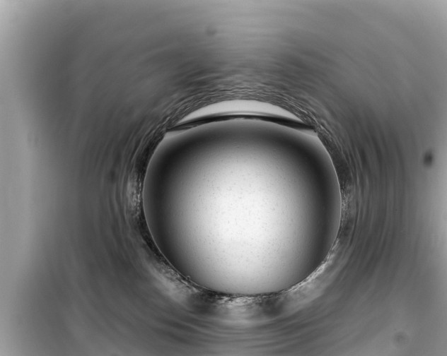 X0000099520186200805221451