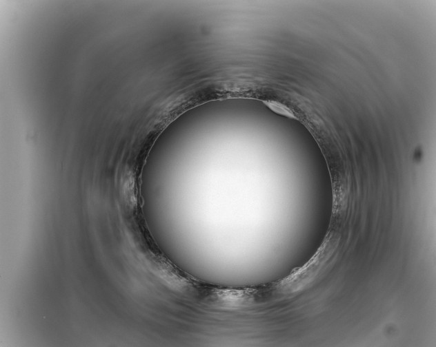 X0000099520187200805221451