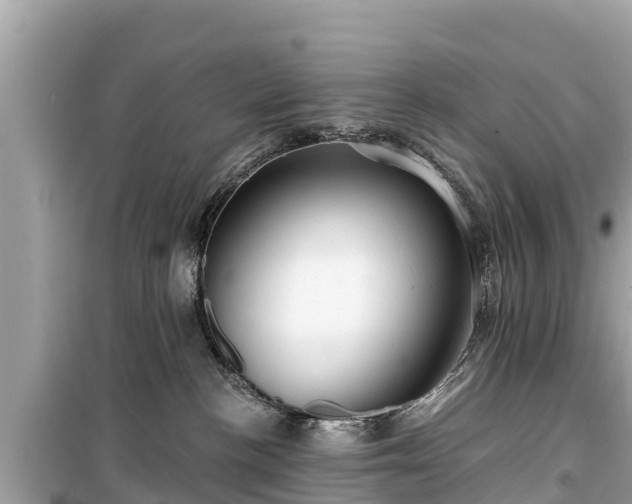 X0000099520188200805221451