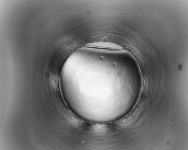 X0000099520189200805221451