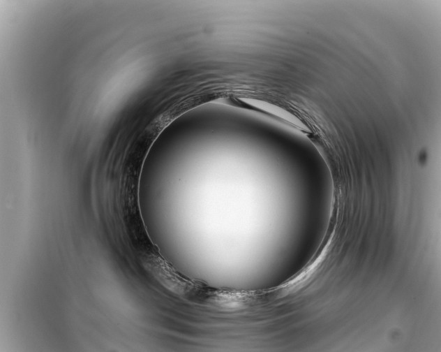 X0000099520190200805221451
