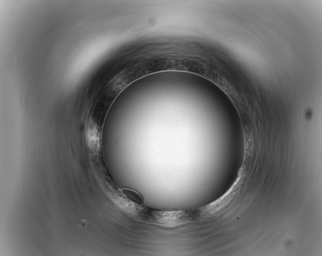 X0000099520191200805221451