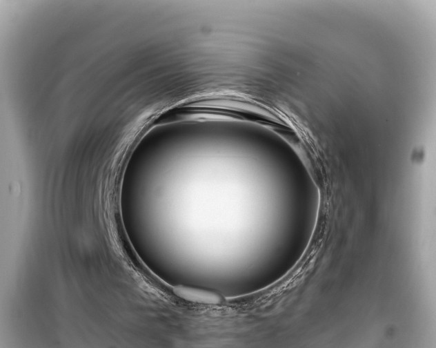 X0000099520193200805221450