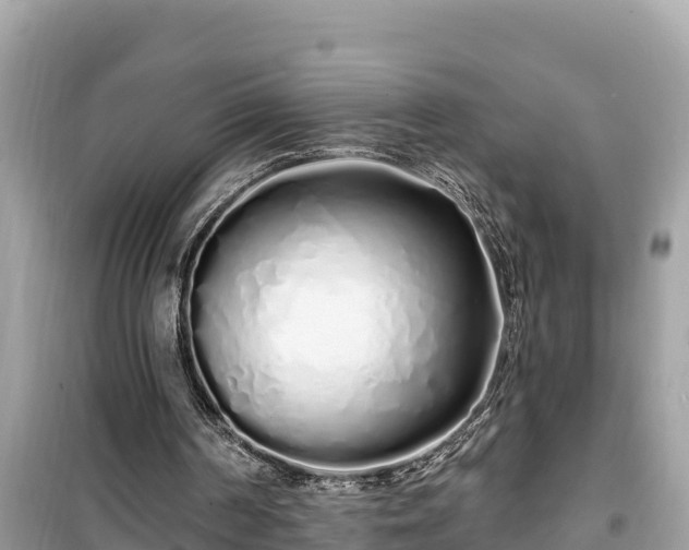 X0000099520194200805221450