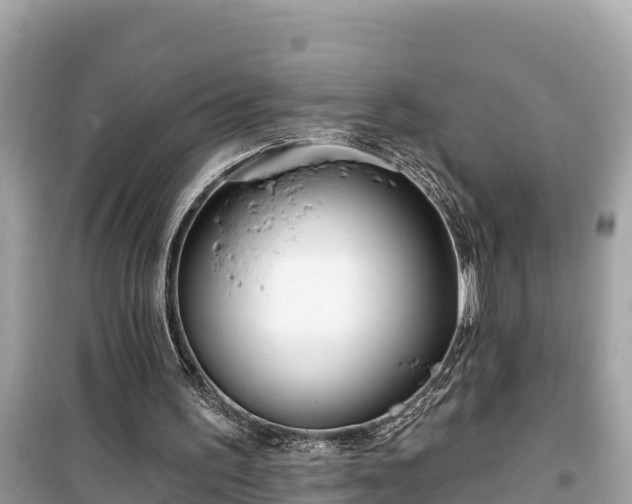 X0000099520195200805221450